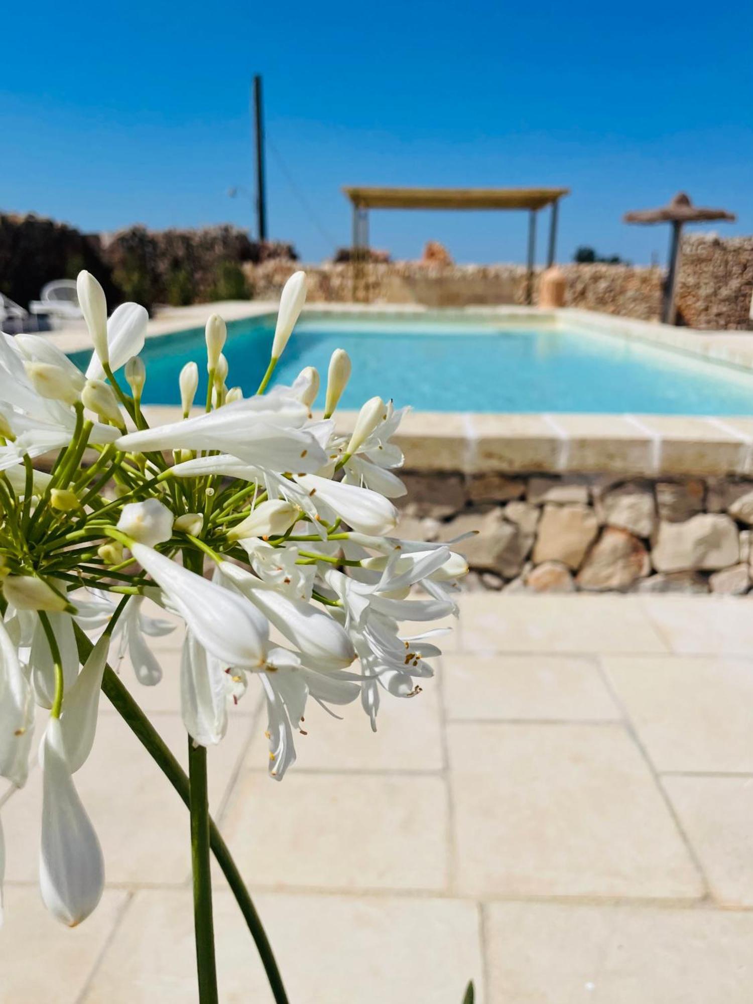 Masseria Voluzzi Copertino Exterior foto