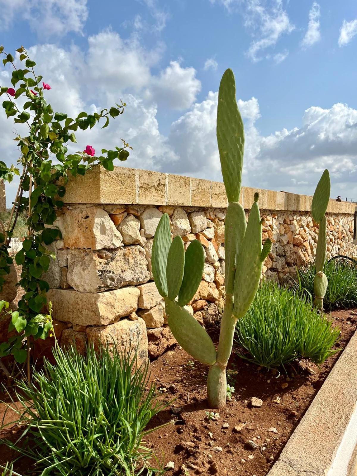 Masseria Voluzzi Copertino Exterior foto